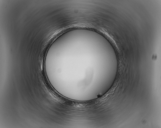 X0000095540062200712141033