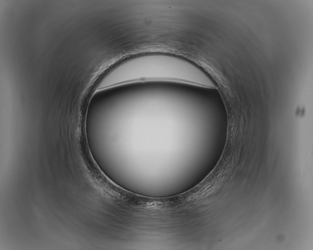 X0000095540064200712141033