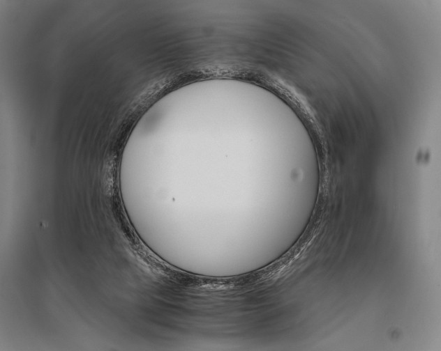 X0000095540065200712141033