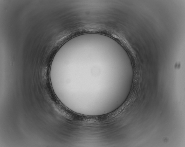 X0000095540066200712141033