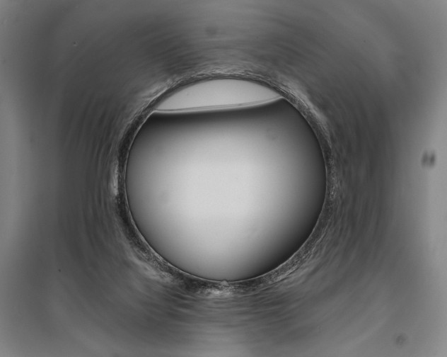 X0000095540068200712141033