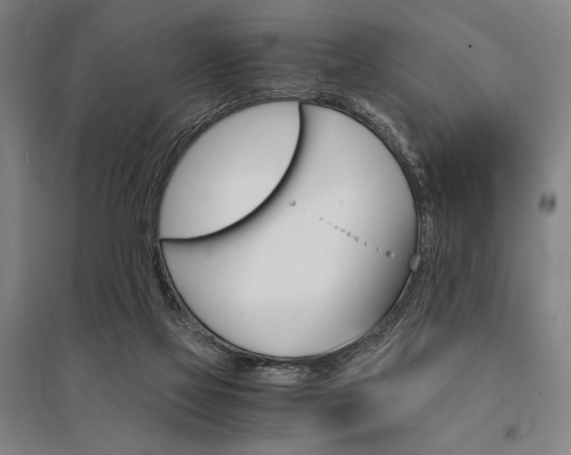 X0000095540069200712141033