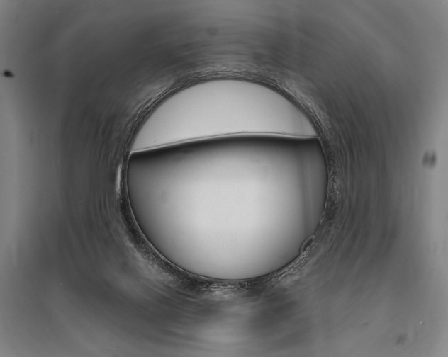 X0000095540070200712141033