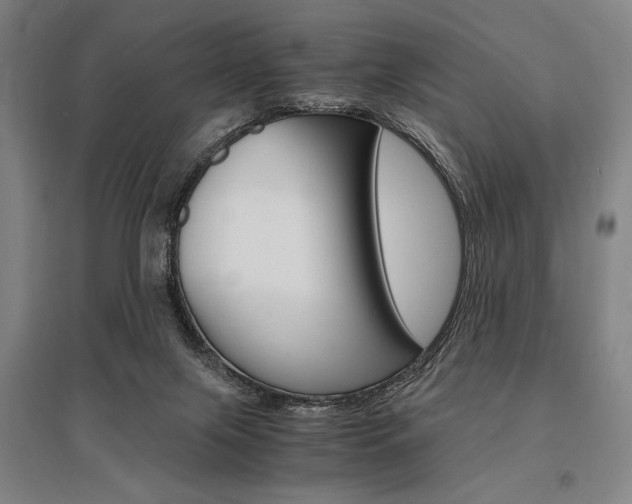 X0000095540071200712141033