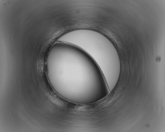 X0000095540072200712141033