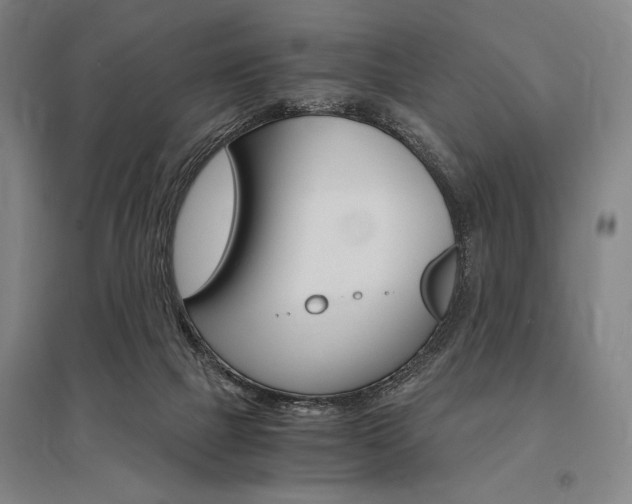 X0000095540073200712141033