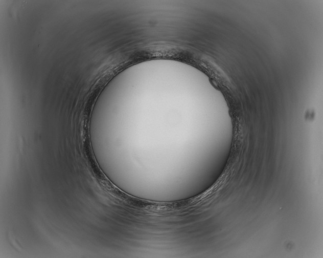X0000095540074200712141033
