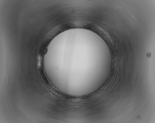 X0000095540075200712141033