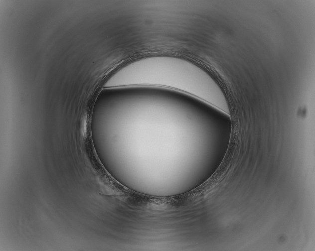 X0000095540076200712141033