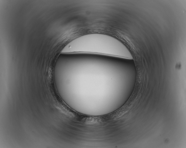 X0000095540077200712141033