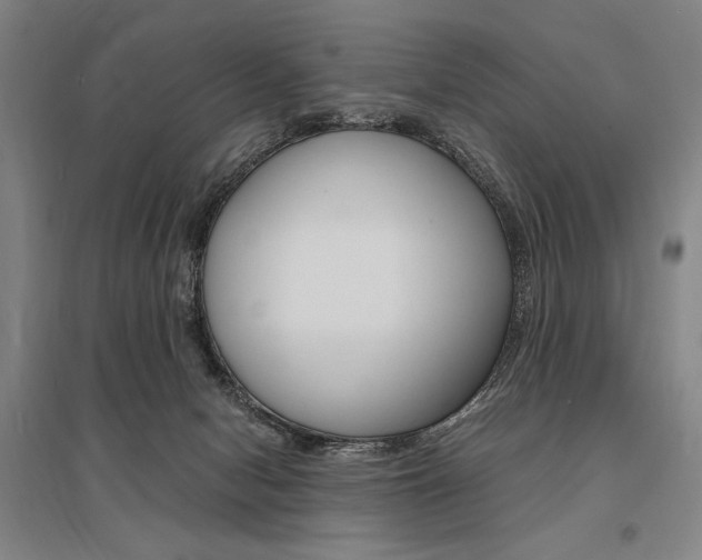 X0000095540078200712141033