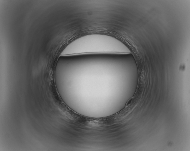 X0000095540079200712141033