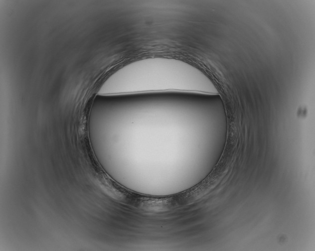 X0000095540081200712141033