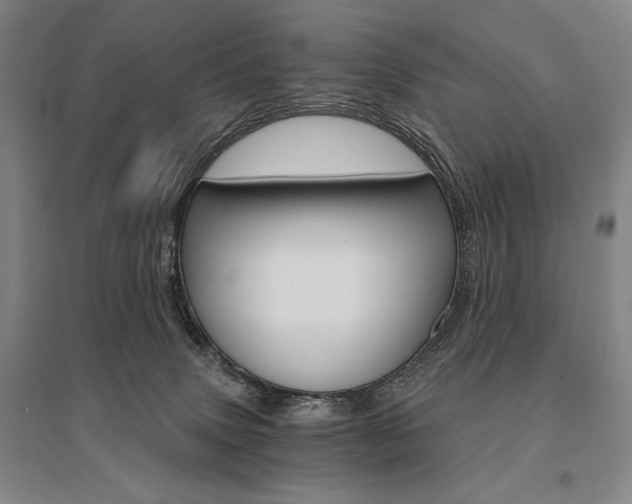 X0000095540083200712141033