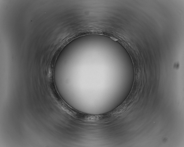 X0000095540084200712141033