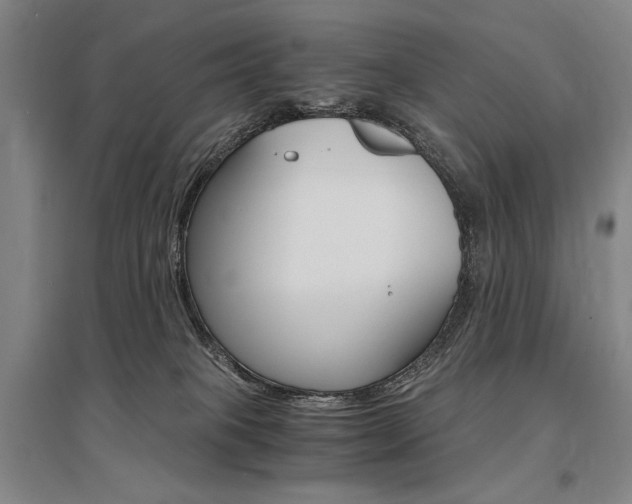 X0000095540085200712141033