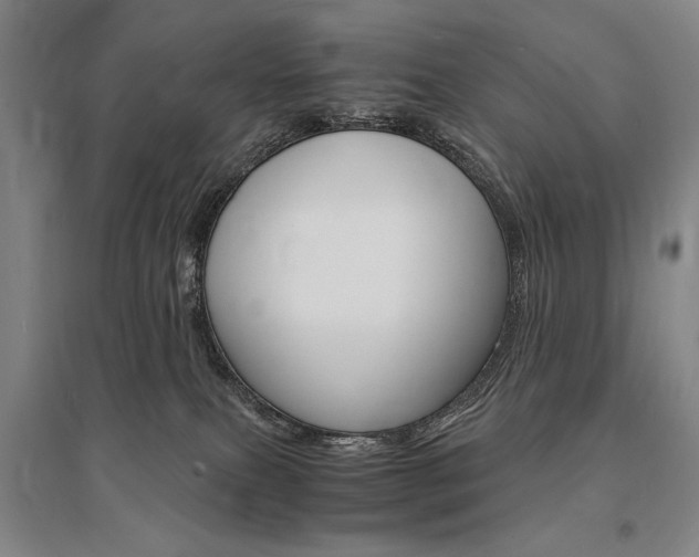 X0000095540087200712141033