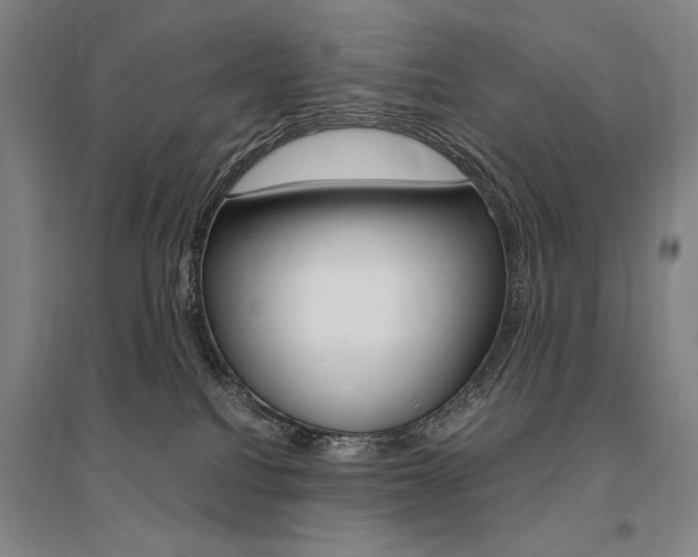 X0000095540088200712141033