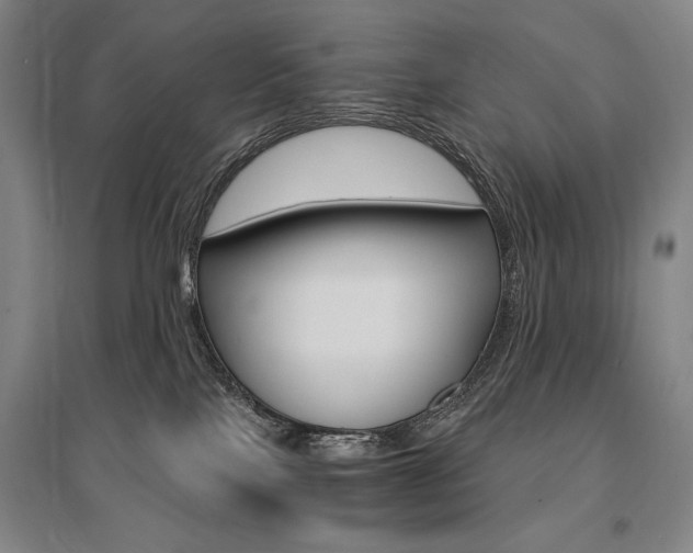 X0000095540089200712141033