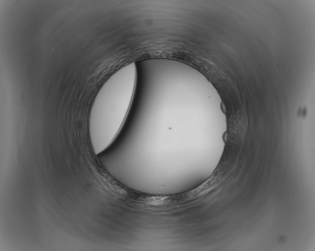 X0000095540090200712141033