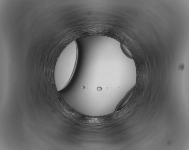 X0000095540091200712141033