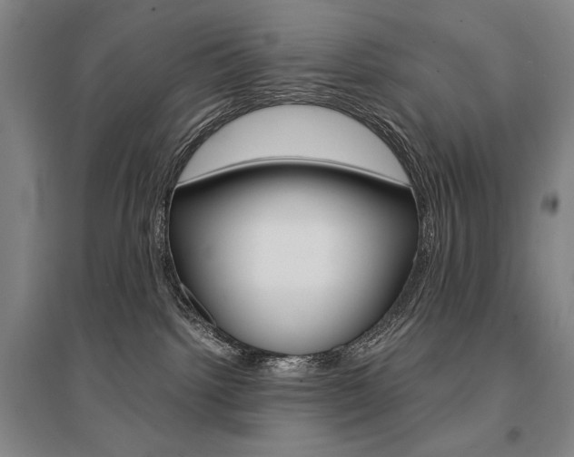 X0000095540092200712141033