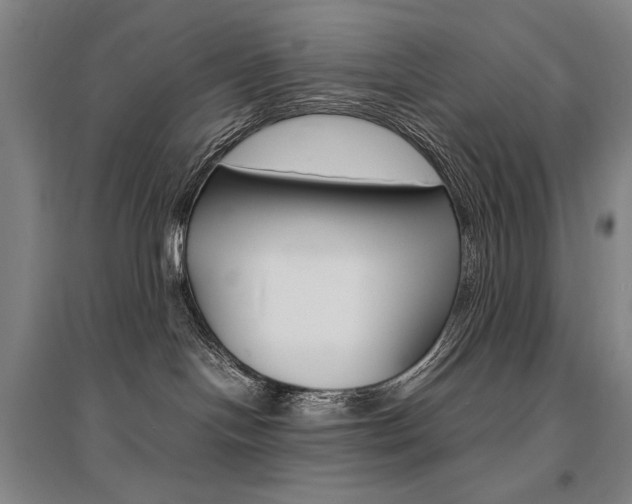 X0000095540094200712141033