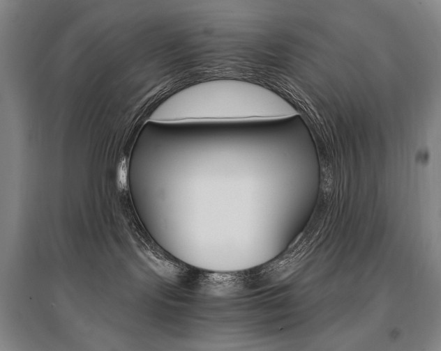 X0000095540095200712141033