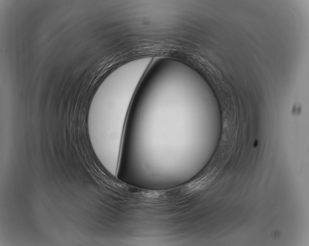 X0000095540096200712141033