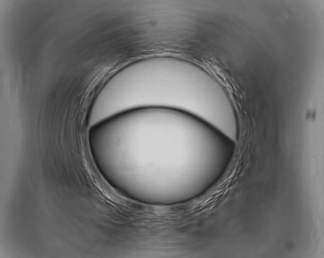 X0000095540097200712141032