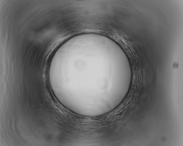 X0000095540098200712141032