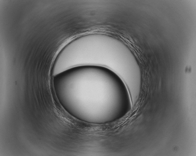 X0000095540100200712141032