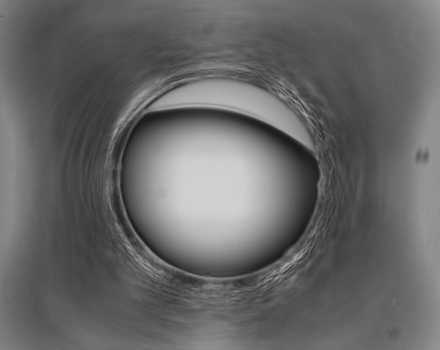 X0000095540101200712141032