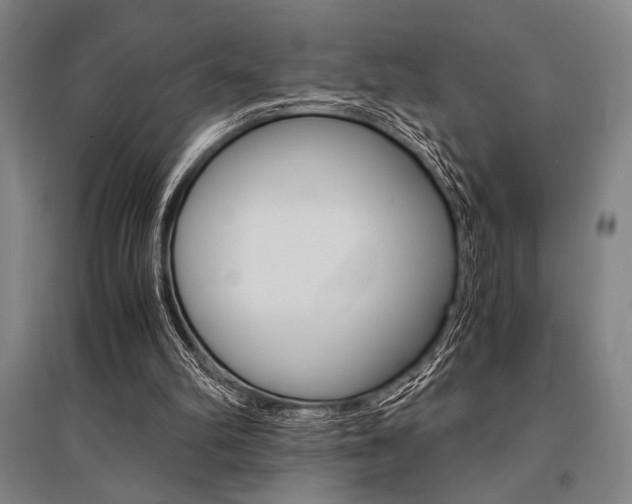 X0000095540102200712141032