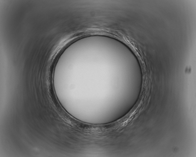 X0000095540103200712141032