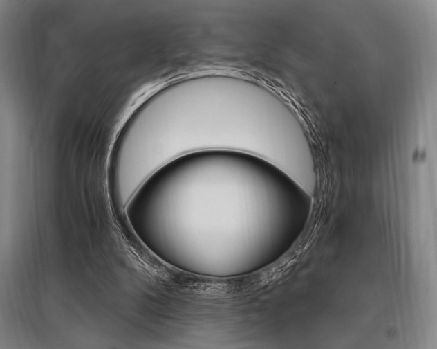 X0000095540104200712141032