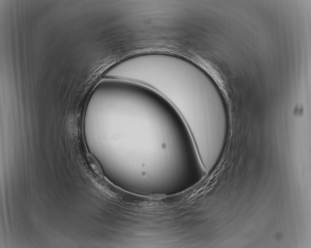 X0000095540105200712141032