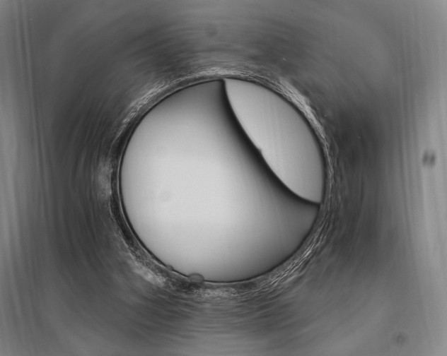X0000095540106200712141032