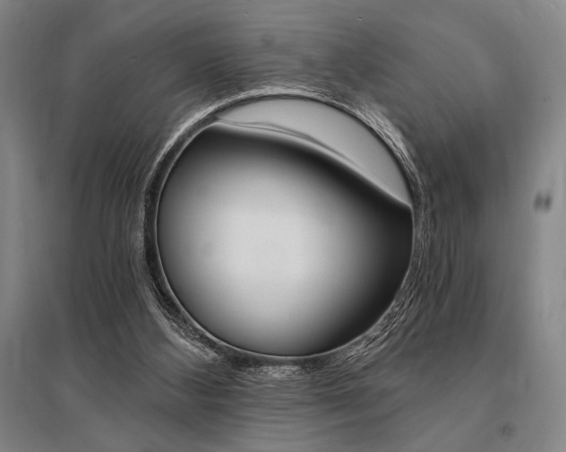 X0000095540108200712141032