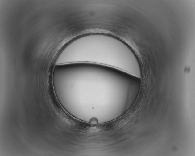 X0000095540111200712141032