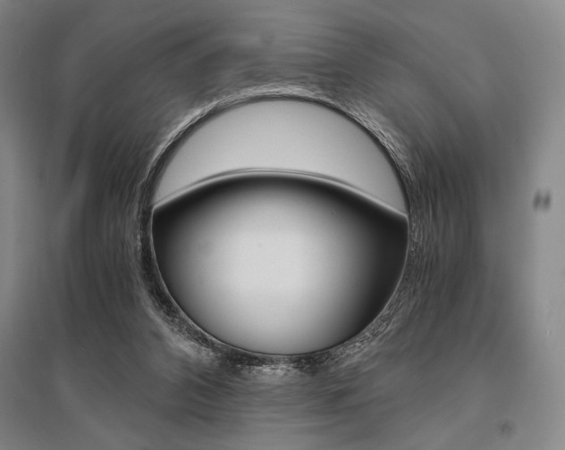 X0000095540112200712141032