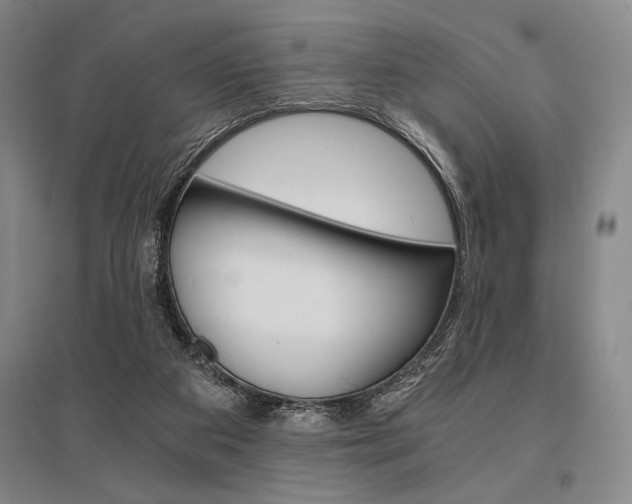 X0000095540113200712141032