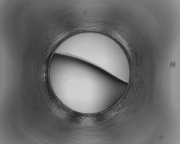 X0000095540115200712141032