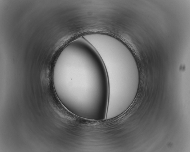 X0000095540116200712141032