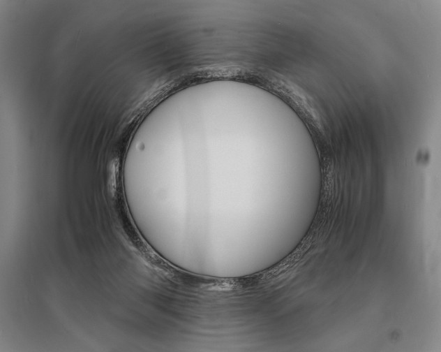 X0000095540118200712141032
