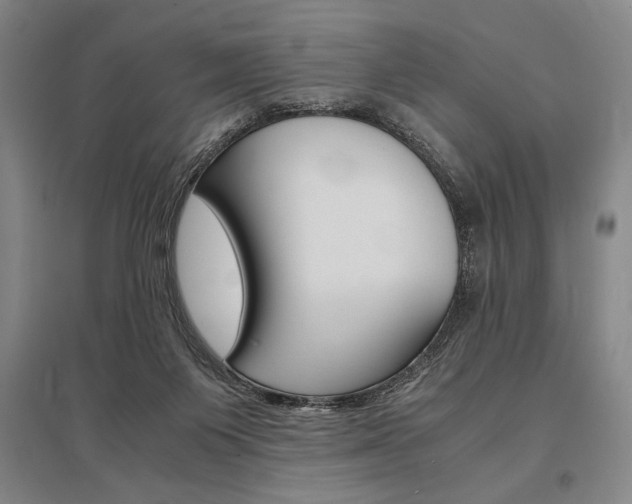 X0000095540119200712141032