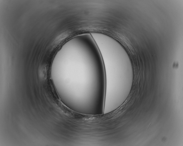 X0000095540120200712141032