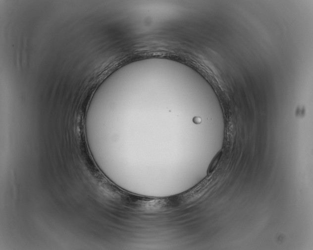 X0000095540122200712141032