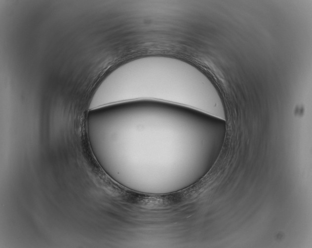 X0000095540123200712141032