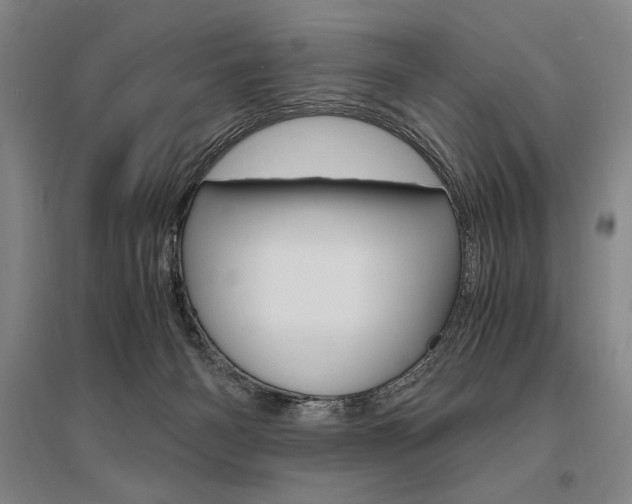 X0000095540126200712141032